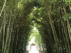 -采石矶景区