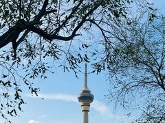 -中央广播电视塔