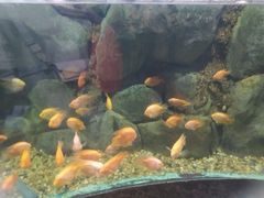 -苏州海洋馆