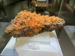 -湖南省地质博物馆