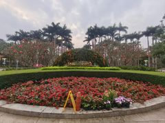 -金花茶公园