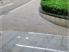 -御彩酒家(东风东路店)