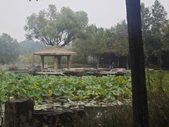 -石家庄市动物园