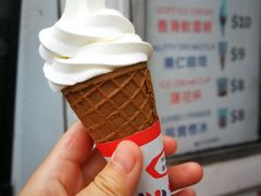 -富豪雪糕车流动点(尖沙咀店)