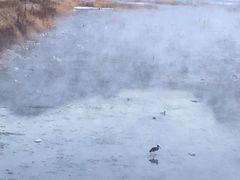 -荣盛康旅野三坡滑雪场