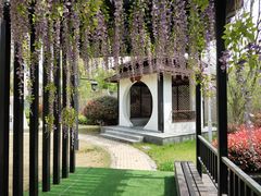 -南京市芳草园小学(凤凰校区)