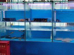 -一品江南韵·淮扬菜