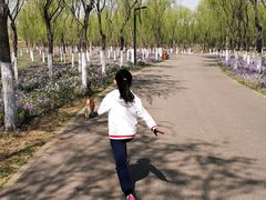 -东郊湿地公园
