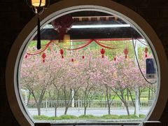 -桃源人家(东门店)