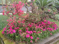 -成都杜甫草堂博物馆