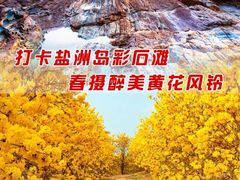 -盐洲岛