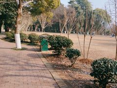 -鸡鸣汤包(红山动物园店)