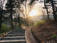 -鬼笑石后山停车场