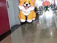 -陕西省小天鹅艺术团