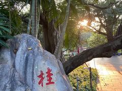 -晓港公园