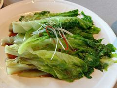 白灼唐生菜-采蝶轩