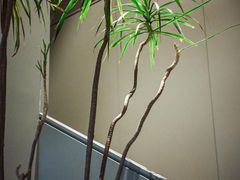 -来回·咖啡(天河南店)