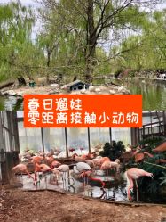 -萌宠亲子动物乐园(槐房万达店)