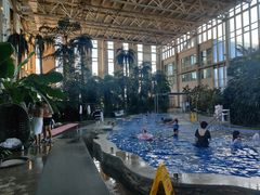 -中家鑫园温泉酒店鑫悦汤泉