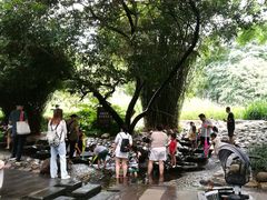 -成都市活水公园