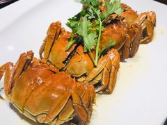 -童福兴·南京菜(老门东店)