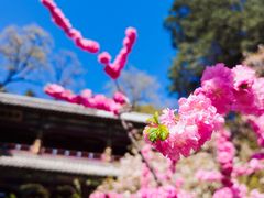 -潭柘寺景区