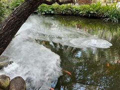 -三亚海棠湾南田温泉神龙谷