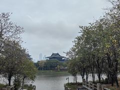 -海珠湖公园