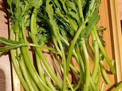 -蝎王府羊蝎子(西直门店)