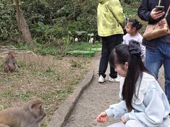 -广西龙虎山风景区
