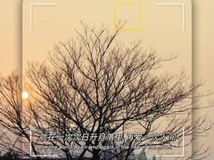 -东海森林温泉
