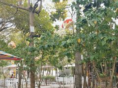 -陶缘一号·四季缘·老字号顺德菜·户外婚礼家宴(西滘店)