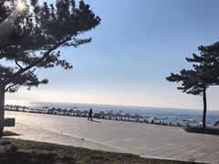 -威海国际海水浴场旅游区