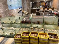 水产区-福州西湖大酒店·怡湖咖啡厅