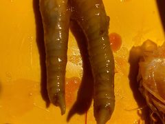 鸡爪-胖哥俩肉蟹煲(河北勒泰购物中心店)