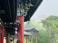 -迎泽公园