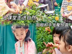 -金豆子幼稚园