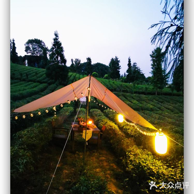 藏在森林里的宝藏避暑打卡地——梅见森林酒馆   