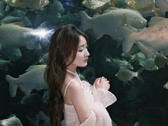 -南昌融创海世界