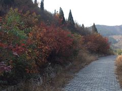 -锦屏山旅游度假区