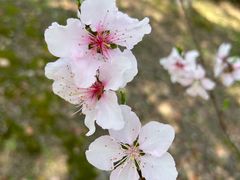 -梁鸿国家湿地公园