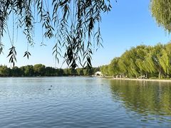 -洛阳市隋唐城遗址植物园