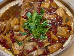 -丁老爷子苏香圆