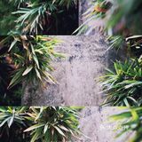 彩色的東山👁‍🗨〰️你怎麼這麼好看🎶[爱心]🎵