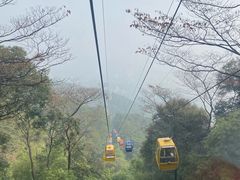 -缙云山景区
