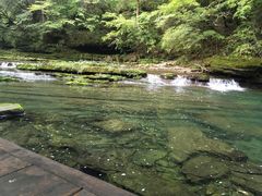 -黎坪国家森林公园