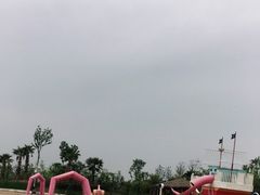 -九龙湖公园
