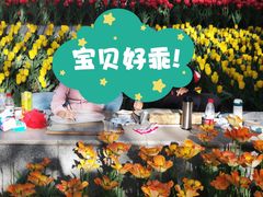 -阿妮亚少儿美术书法(望京店)