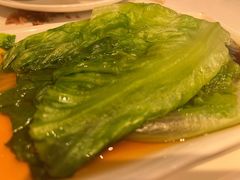 白灼生菜-金鼎轩(亚运村店)