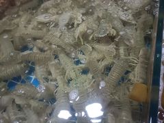 -鸿港海鲜批发市场